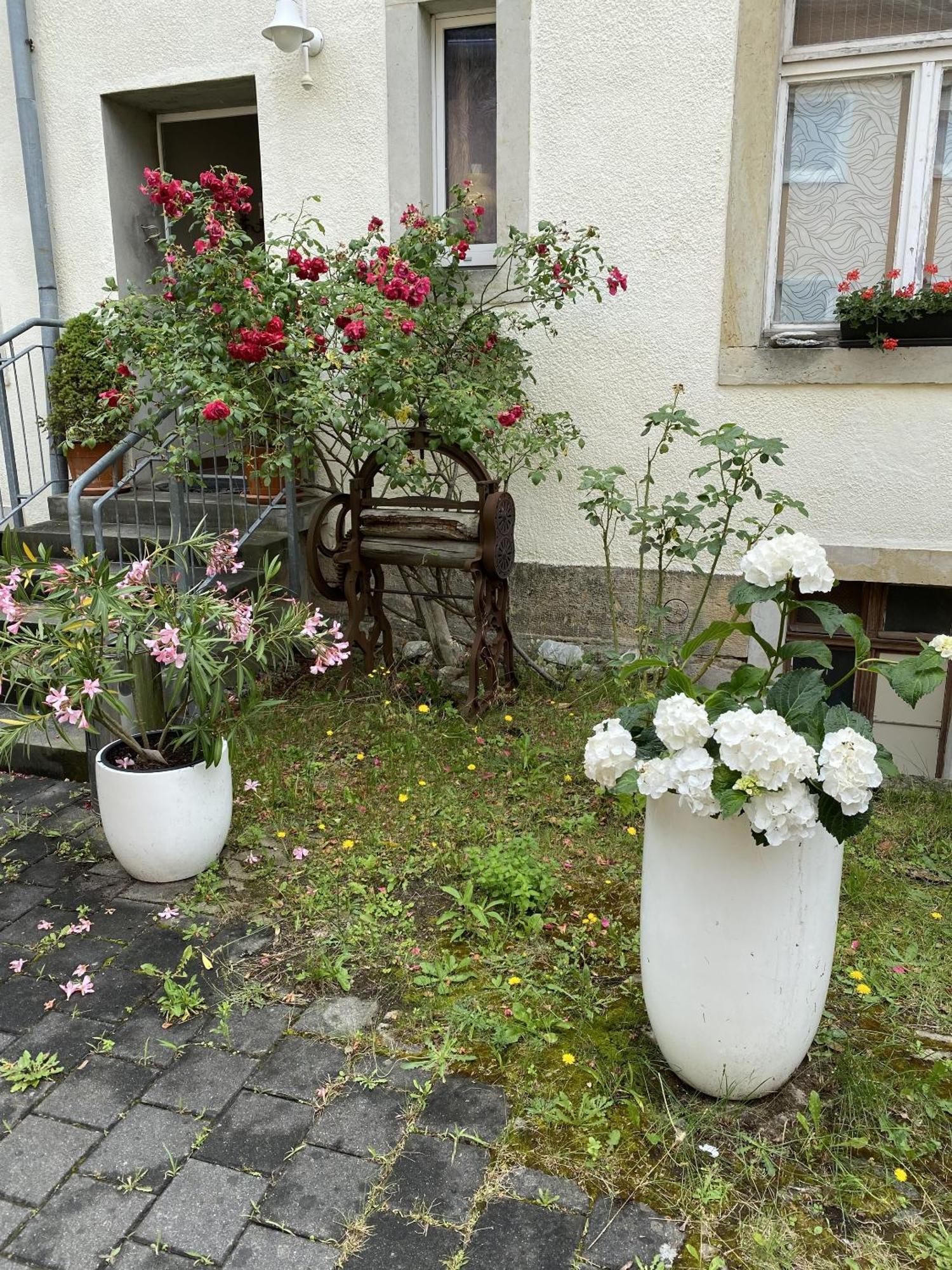 Apartments Und Zimmer Gaestehaus Matthias Dresda Esterno foto